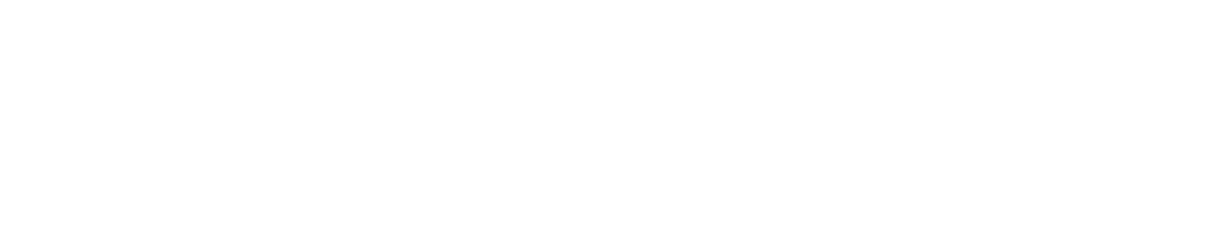 Sistema d'ocupació de Catalunya